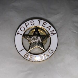 Gold and White Star Brooch